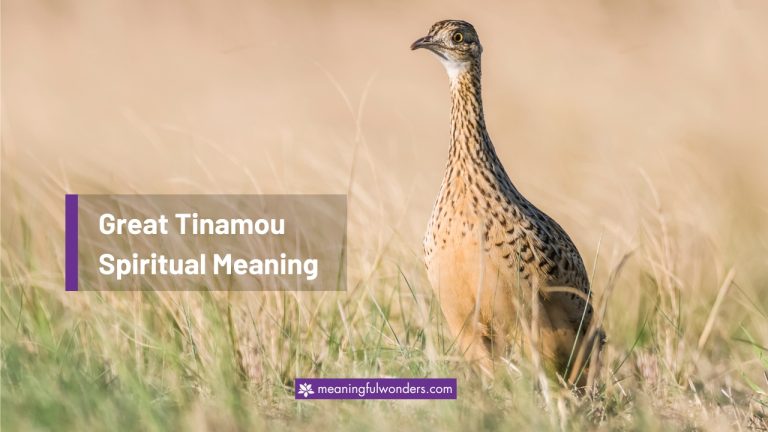 Great Tinamou Spiritual Meaning: Represent Hidden Talents
