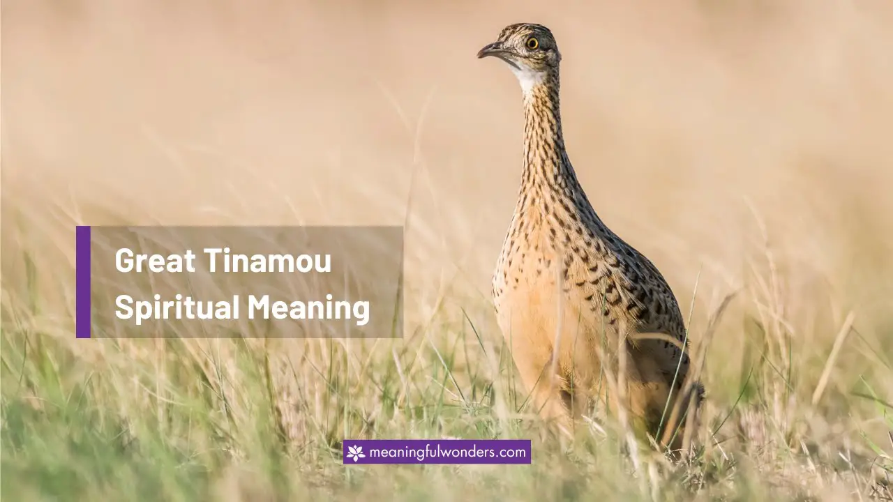 Great Tinamou Spiritual Meaning