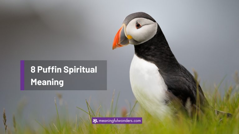 8 Puffin Spiritual Meaning: Symbol of Resilience & Hard Work
