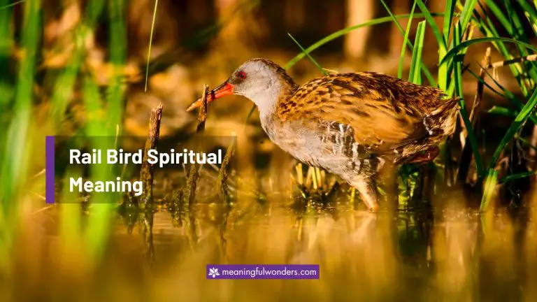 Rail Bird Spiritual Meaning: Remain Adaptable in Life