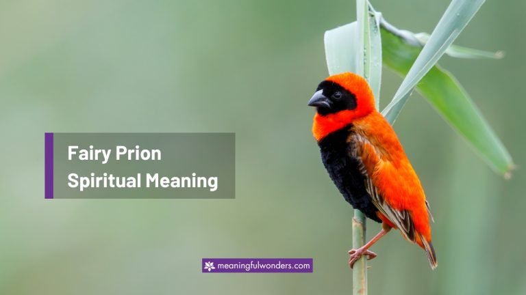 Red Bishop Spiritual Meaning